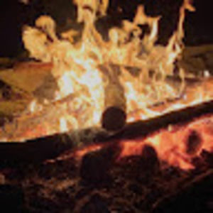 Meet your Posher, Ricardo